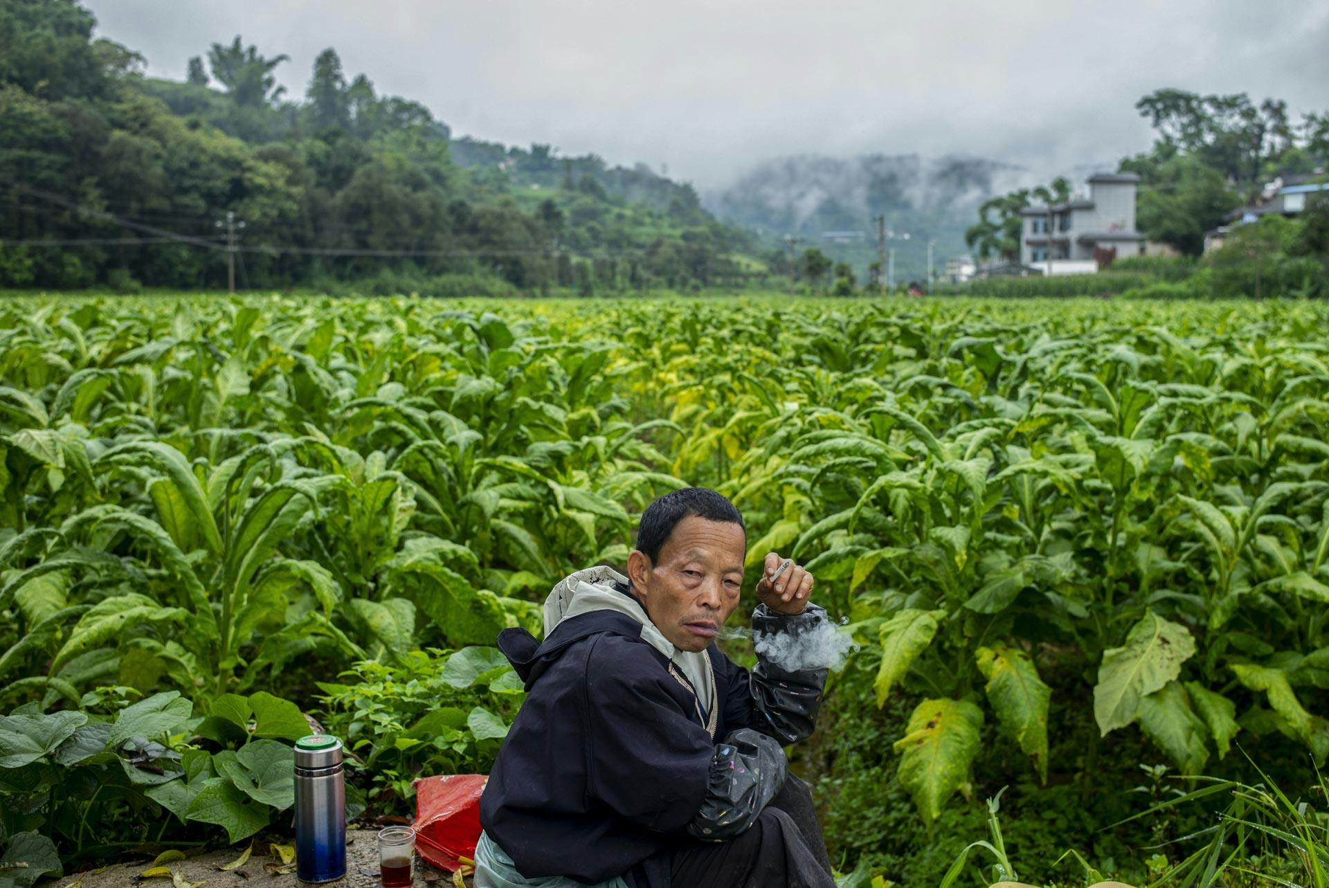 A tobacco farmer takes a cigarette break on the side of the road in a tobacco plantation in China's Yunnan Province.